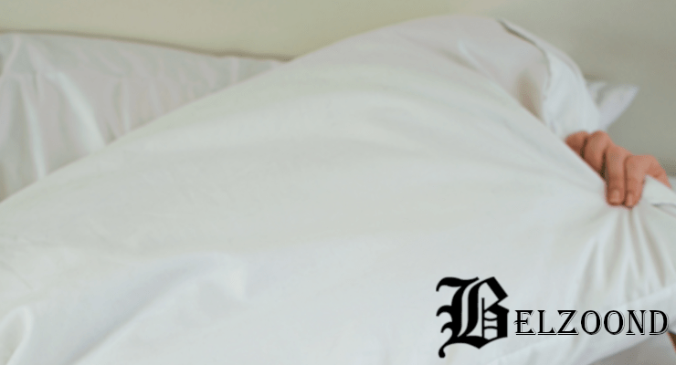 El almohadón de&nbsp;plumas